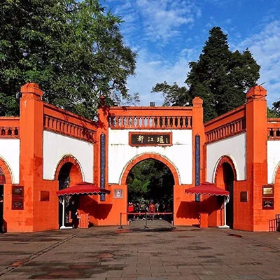 Panda Lover’s Dream: Visiting Chengdu’s Giant Panda Base