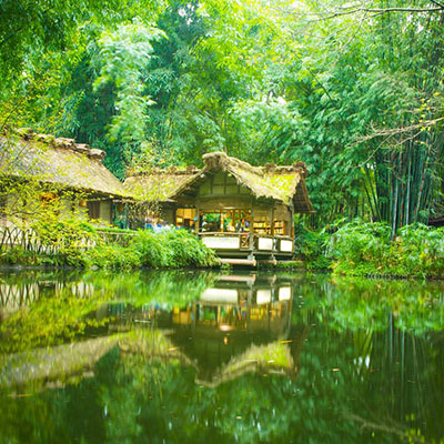Chengdu’s Cheapest Ways to Visit the Giant Buddha